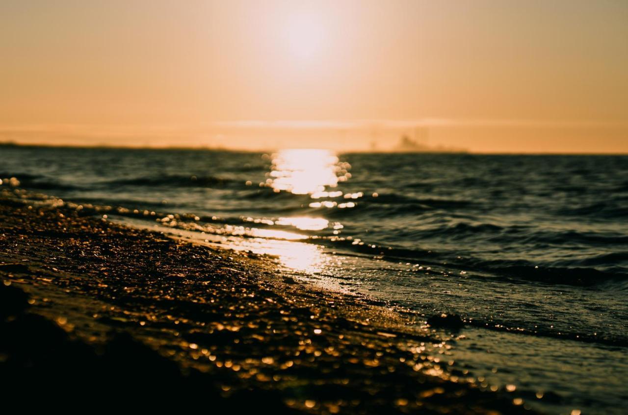Strandmotellet Greve Dış mekan fotoğraf